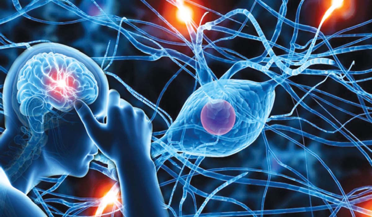 Brain Disorders | భారత్లో పెరుగుతున్న బ్రెయిన్ డిజార్డర్ కేసులు..! కీలక నిర్ణయం తీసుకున్న కేంద్ర ప్రభుత్వం..! Brain Disorders | భారత్లో పెరుగుతున్న బ్రెయిన్ డిజార్డర్ కేసులు..! కీలక నిర్ణయం తీసుకున్న కేంద్ర ప్రభుత్వం..!
