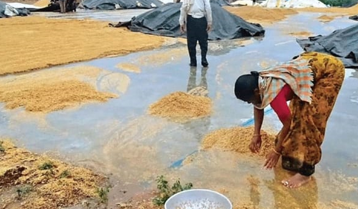 Telangana | అకాల వర్షంతో అన్నదాత విలవిల Telangana | అకాల వర్షంతో అన్నదాత విలవిల