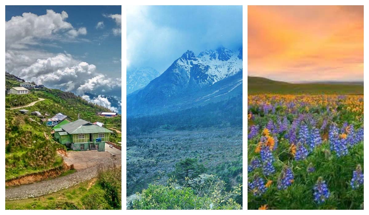 Yumthang Valley | మండుటెండల్లో చిల్ అవ్వాలంటే.. యుమ్తాంగ్ వ్యాలీ వెళ్లాల్సిందే..! Yumthang Valley | మండుటెండల్లో చిల్ అవ్వాలంటే.. యుమ్తాంగ్ వ్యాలీ వెళ్లాల్సిందే..!