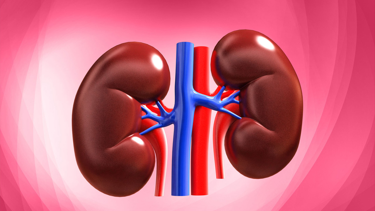 Kidney health | కిడ్నీలు సమర్థంగా పనిచేయాలంటే మీ ఆహారంలో ఇవి కచ్చితంగా ఉండాల్సిందే..! Kidney health | కిడ్నీలు సమర్థంగా పనిచేయాలంటే మీ ఆహారంలో ఇవి కచ్చితంగా ఉండాల్సిందే..!