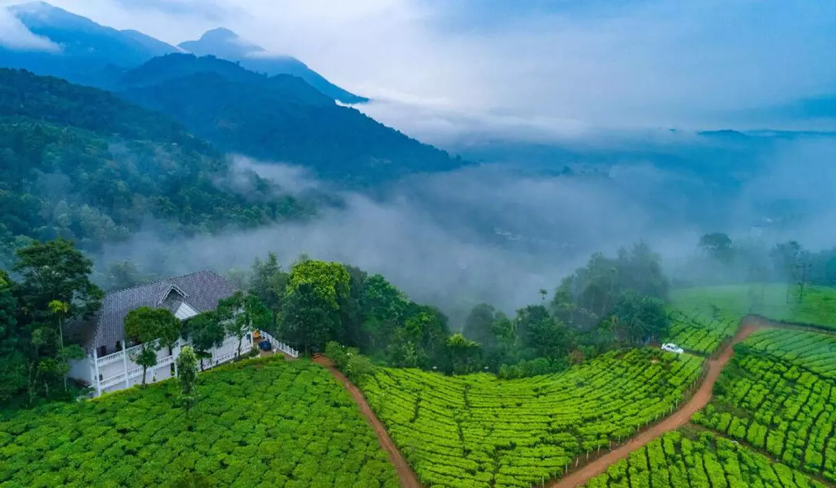 Best Tourist Places | పర్యాటక ప్రాంతాలకు వెళ్లేందుకు ప్లాన్ చేస్తున్నారా..? వీటిపై ఓ లుక్కేయండి..! Best Tourist Places | పర్యాటక ప్రాంతాలకు వెళ్లేందుకు ప్లాన్ చేస్తున్నారా..? వీటిపై ఓ లుక్కేయండి..!