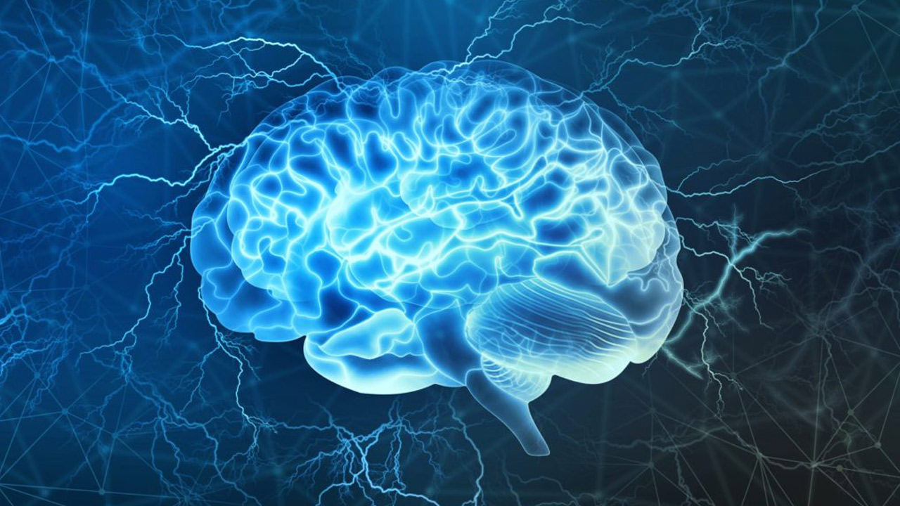 Alzheimers | ఇది తరచూ తీసుకుంటే అల్జీమర్స్ను ఆమడ దూరం తరిమేయవచ్చట..! Alzheimers | ఇది తరచూ తీసుకుంటే అల్జీమర్స్ను ఆమడ దూరం తరిమేయవచ్చట..!
