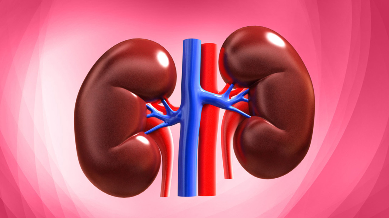 Health tips | మీలో ఈ లక్షణాలున్నాయా.. కిడ్నీలు ప్రమాదంలో పడ్డాయేమో.. పరీక్షలు చేయించుకోండి..! Health tips | మీలో ఈ లక్షణాలున్నాయా.. కిడ్నీలు ప్రమాదంలో పడ్డాయేమో.. పరీక్షలు చేయించుకోండి..!