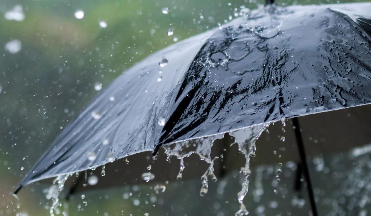 Rains in Telangana: తెలంగాణకు నైరుతి.. నేటి నుంచి మూడురోజులు వర్షాలు Rains in Telangana: తెలంగాణకు నైరుతి.. నేటి నుంచి మూడురోజులు వర్షాలు