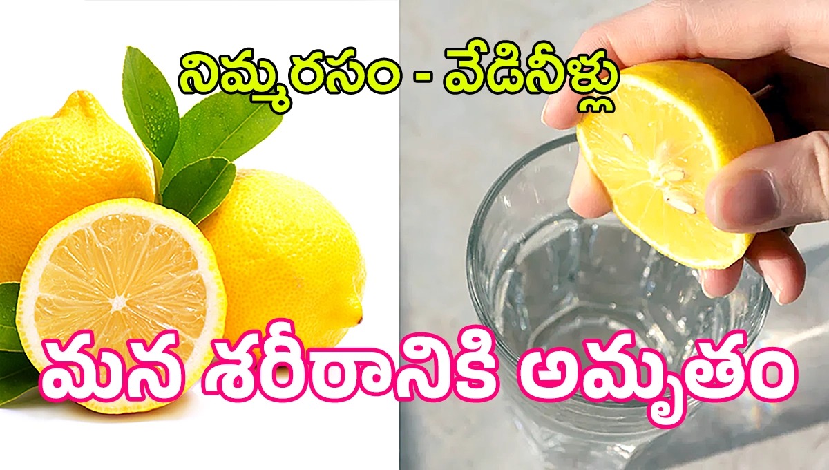 ఎప్పుడైనా గోరువెచ్చని నీళ్లలో నిమ్మరసం కలుపుకుని తాగారా..? ప్రతీరోజూ తాగండి ప్లీజ్.! ఎప్పుడైనా గోరువెచ్చని నీళ్లలో నిమ్మరసం కలుపుకుని తాగారా..? ప్రతీరోజూ తాగండి ప్లీజ్.!