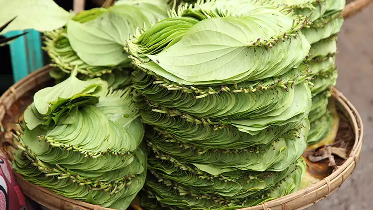 Betel Leaf | మీలో ఈ సమస్యలున్నాయా.. అయితే తమలపాకులను మరిగించిన నీళ్లు చక్కటి పరిష్కారం..! Betel Leaf | మీలో ఈ సమస్యలున్నాయా.. అయితే తమలపాకులను మరిగించిన నీళ్లు చక్కటి పరిష్కారం..!