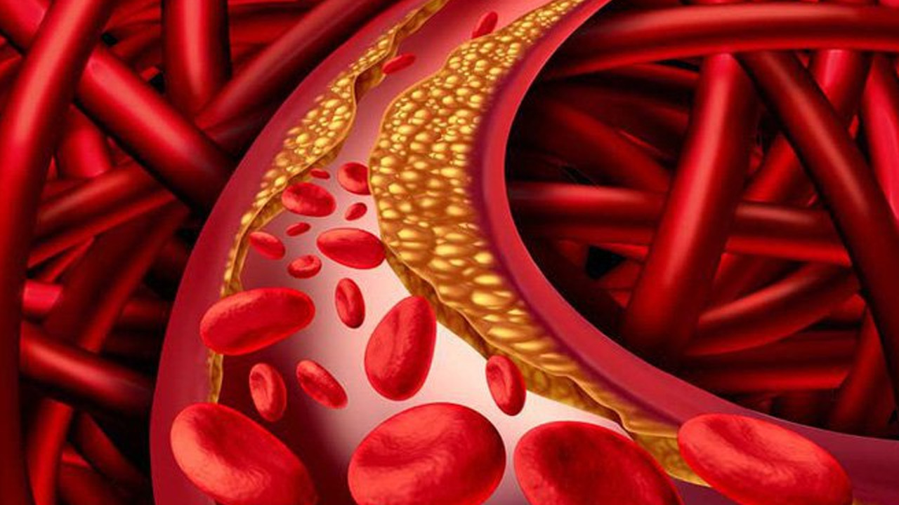 Health tips | ఈ గింజలు రోజూ తింటే రక్తంలో కొవ్వు కరిగిపోతుంది తెలుసా..? Health tips | ఈ గింజలు రోజూ తింటే రక్తంలో కొవ్వు కరిగిపోతుంది తెలుసా..?