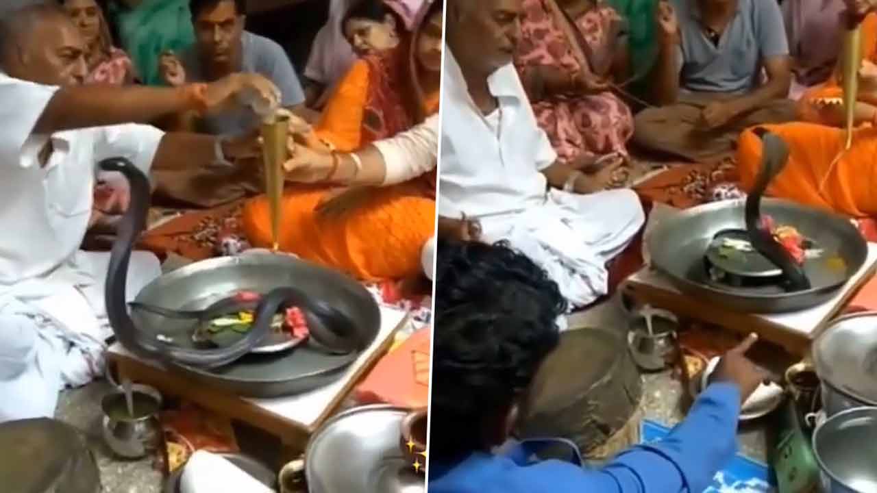 ఏం ధైర్యం రా బాబు.. నట్టింట్లో నల్ల నాగుపాముకు ప్రత్యేక పూజలు.. వీడియో ఏం ధైర్యం రా బాబు.. నట్టింట్లో నల్ల నాగుపాముకు ప్రత్యేక పూజలు.. వీడియో