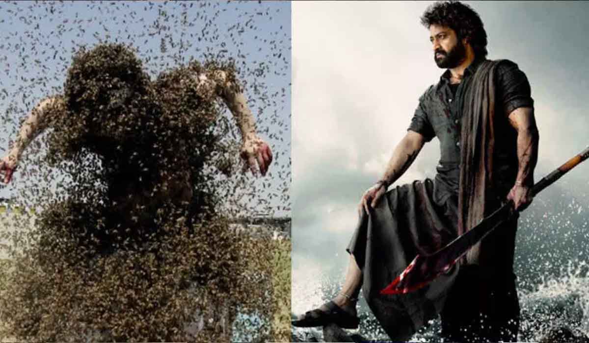 Devara| దేవర మూవీ యూనిట్పై తేనెటీగల దాడి.. ఆసుపత్రిలో 20 మంది? Devara| దేవర మూవీ యూనిట్పై తేనెటీగల దాడి.. ఆసుపత్రిలో 20 మంది?