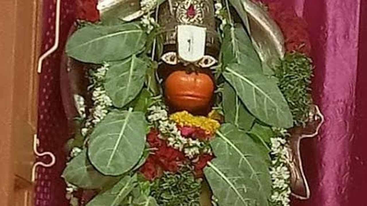 ఈ మాలతో హనుమంతుడిని పూజిస్తే.. జీవితంలో ఓటమి అనేది ఉండదట..! ఈ మాలతో హనుమంతుడిని పూజిస్తే.. జీవితంలో ఓటమి అనేది ఉండదట..!
