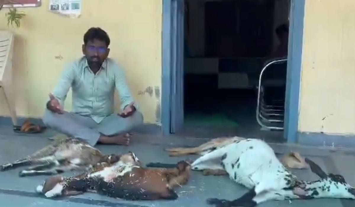 చనిపోయిన మేకలతో మున్సిపాలిటీ ఎదుట ధర్నా చనిపోయిన మేకలతో మున్సిపాలిటీ ఎదుట ధర్నా