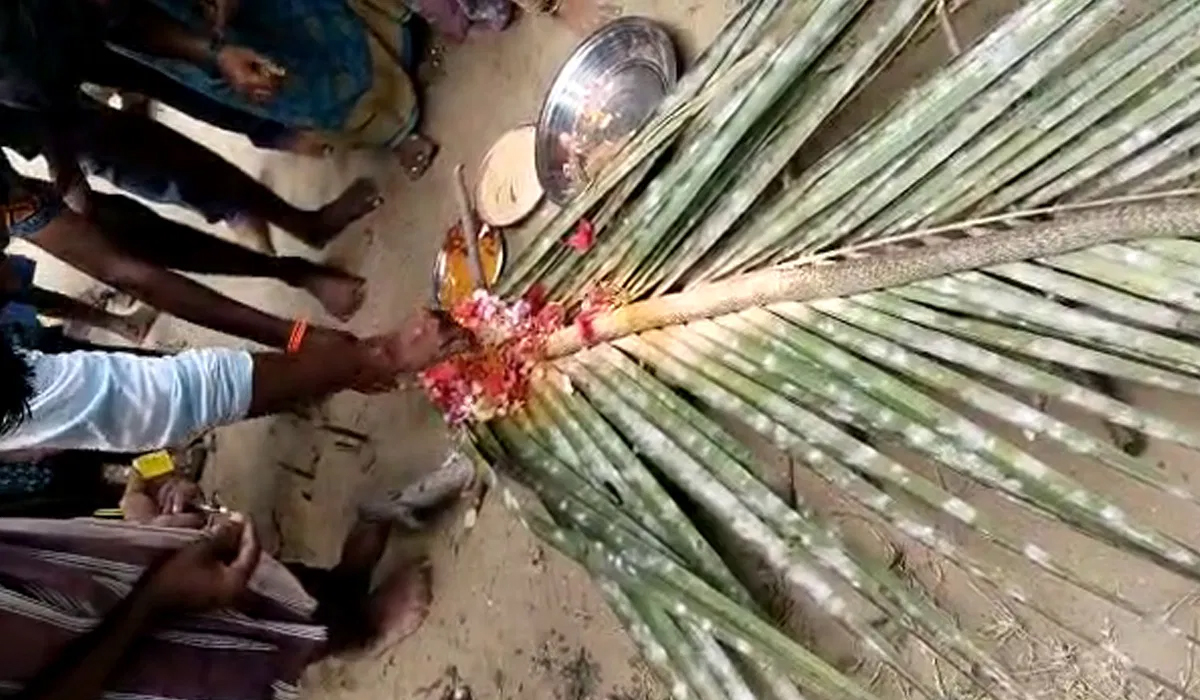 పాముకు దహన సంస్కారాలు.. అభిషేకాలు, పూజలు పాముకు దహన సంస్కారాలు.. అభిషేకాలు, పూజలు