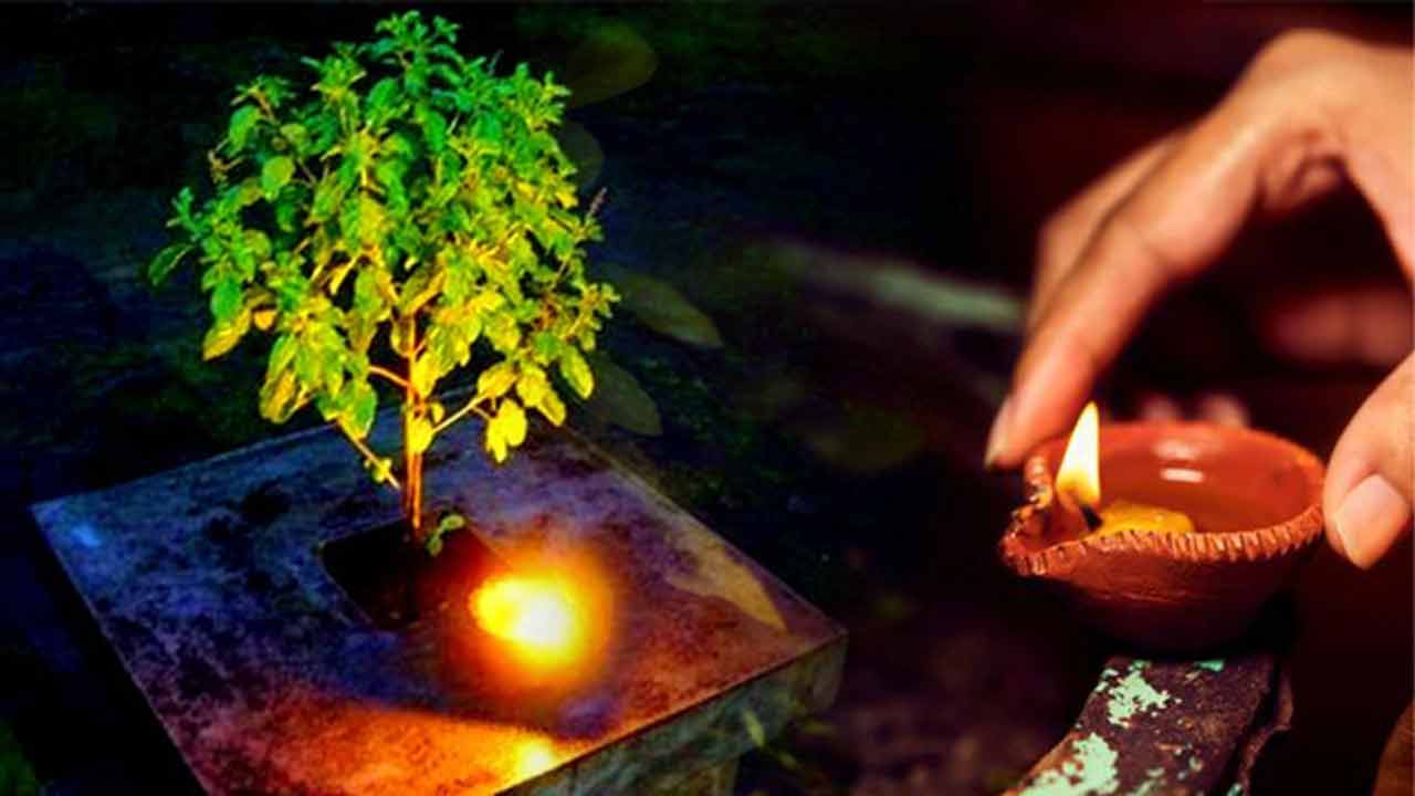 మహిళలు పీరియడ్స్లో ఉన్నప్పుడు.. తులసి మొక్కకు నీళ్లు పోయొచ్చా..? మహిళలు పీరియడ్స్లో ఉన్నప్పుడు.. తులసి మొక్కకు నీళ్లు పోయొచ్చా..?