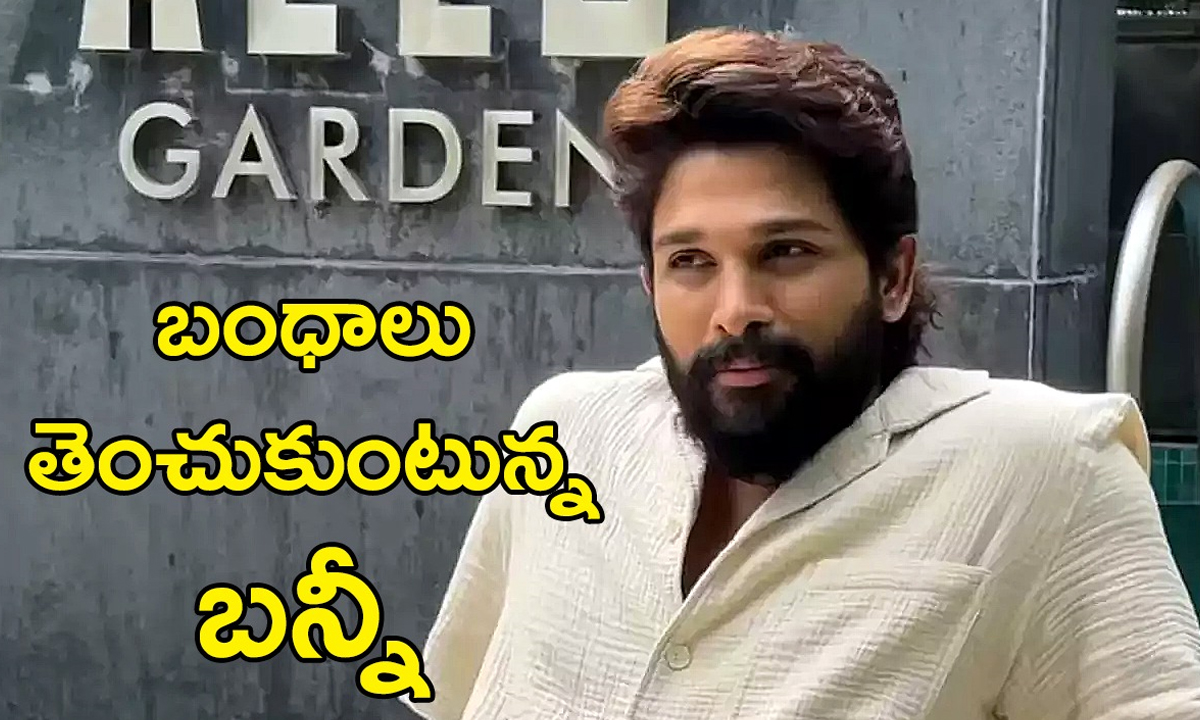 Allu Arjun | అల్లు – కొణిదెల కుటుంబాల మధ్య దూరం ఇంకా పెరిగిందా? Allu Arjun | అల్లు – కొణిదెల కుటుంబాల మధ్య దూరం ఇంకా పెరిగిందా?