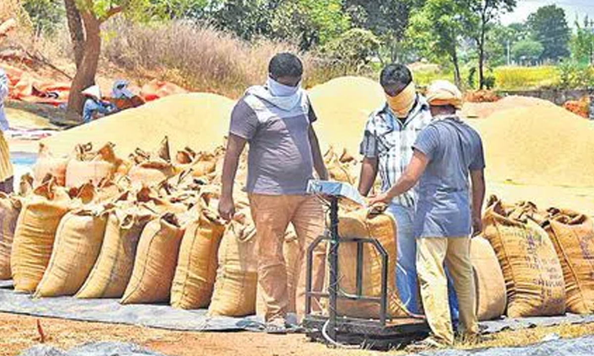 ధాన్యం కొనుగోళ్లలో రికార్డు.. మూడు రోజుల్లోనే రైతుల ఖాతాలకు ధాన్యం కొనుగోళ్లలో రికార్డు.. మూడు రోజుల్లోనే రైతుల ఖాతాలకు