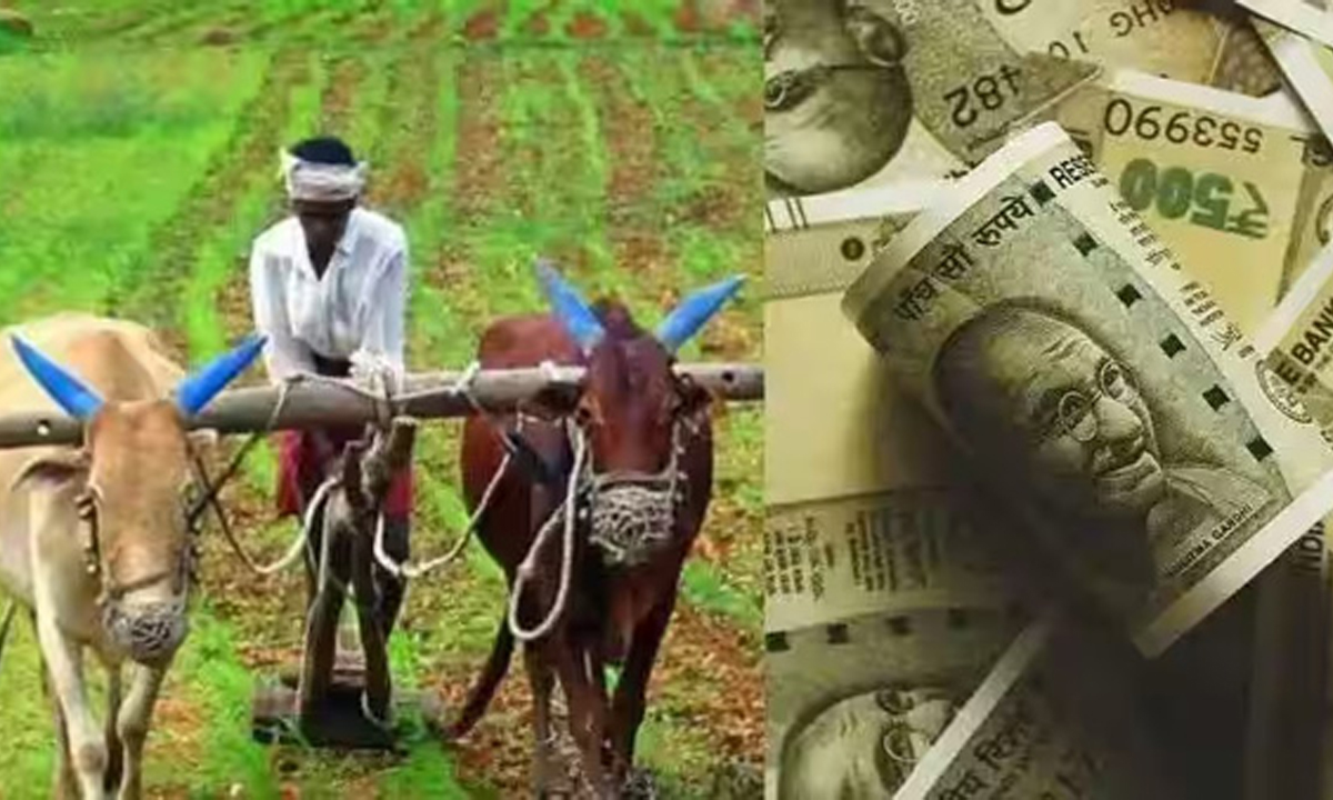 Telangana | ఈ రుణాలకు పంటల రుణమాఫీ వర్తించదు..! ఏయే రుణాలకు అంటే..? Telangana | ఈ రుణాలకు పంటల రుణమాఫీ వర్తించదు..! ఏయే రుణాలకు అంటే..?