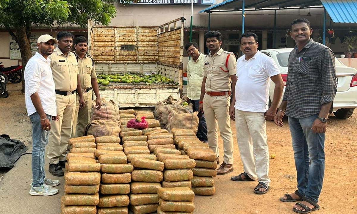 మణుగూరులో గంజాయి.. కూకట్పల్లిలో డ్రగ్స్ పట్టివేత మణుగూరులో గంజాయి.. కూకట్పల్లిలో డ్రగ్స్ పట్టివేత