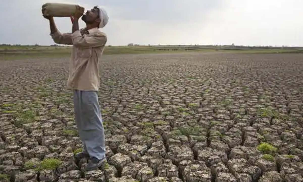 ఈ ఏడాది కరువేనా? పొలాల్లో మొలకెత్తని విత్తనాలు బిందెల్లో నీళ్లు తీసుకొచ్చి పొలాలు తడుపుతున్న అన్నదాతలు ఈ ఏడాది కరువేనా? పొలాల్లో మొలకెత్తని విత్తనాలు బిందెల్లో నీళ్లు తీసుకొచ్చి పొలాలు తడుపుతున్న అన్నదాతలు