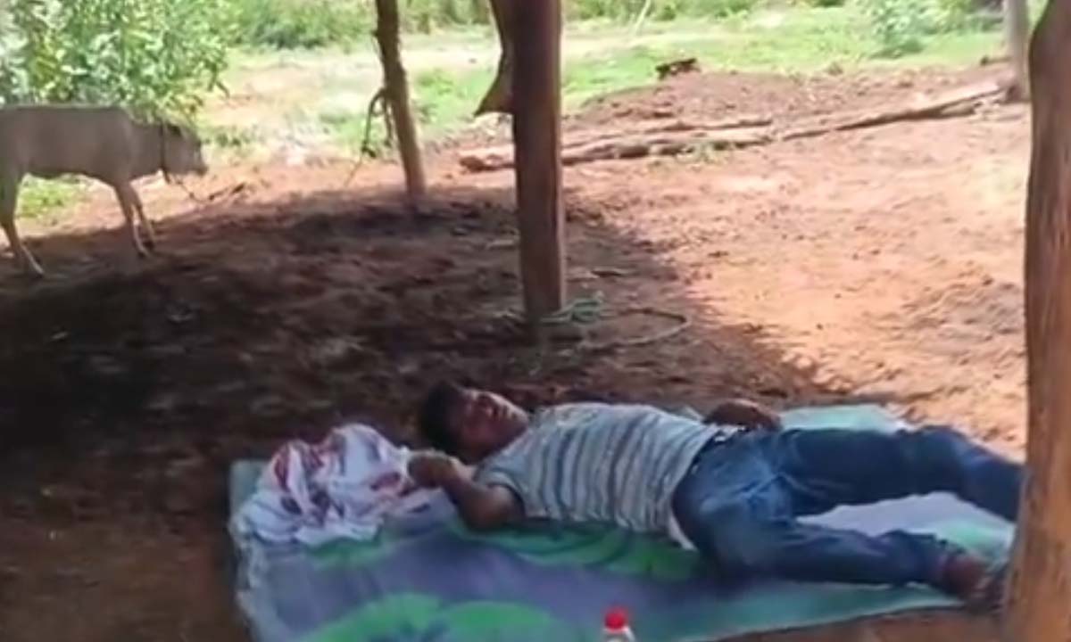 తప్పతాగి పాఠశాలకు వస్తున్న ప్రభుత్వ ఉపాధ్యాయుడు … మత్తులో స్కూల్ బయటే పడిపోయిన వైనం తప్పతాగి పాఠశాలకు వస్తున్న ప్రభుత్వ ఉపాధ్యాయుడు … మత్తులో స్కూల్ బయటే పడిపోయిన వైనం