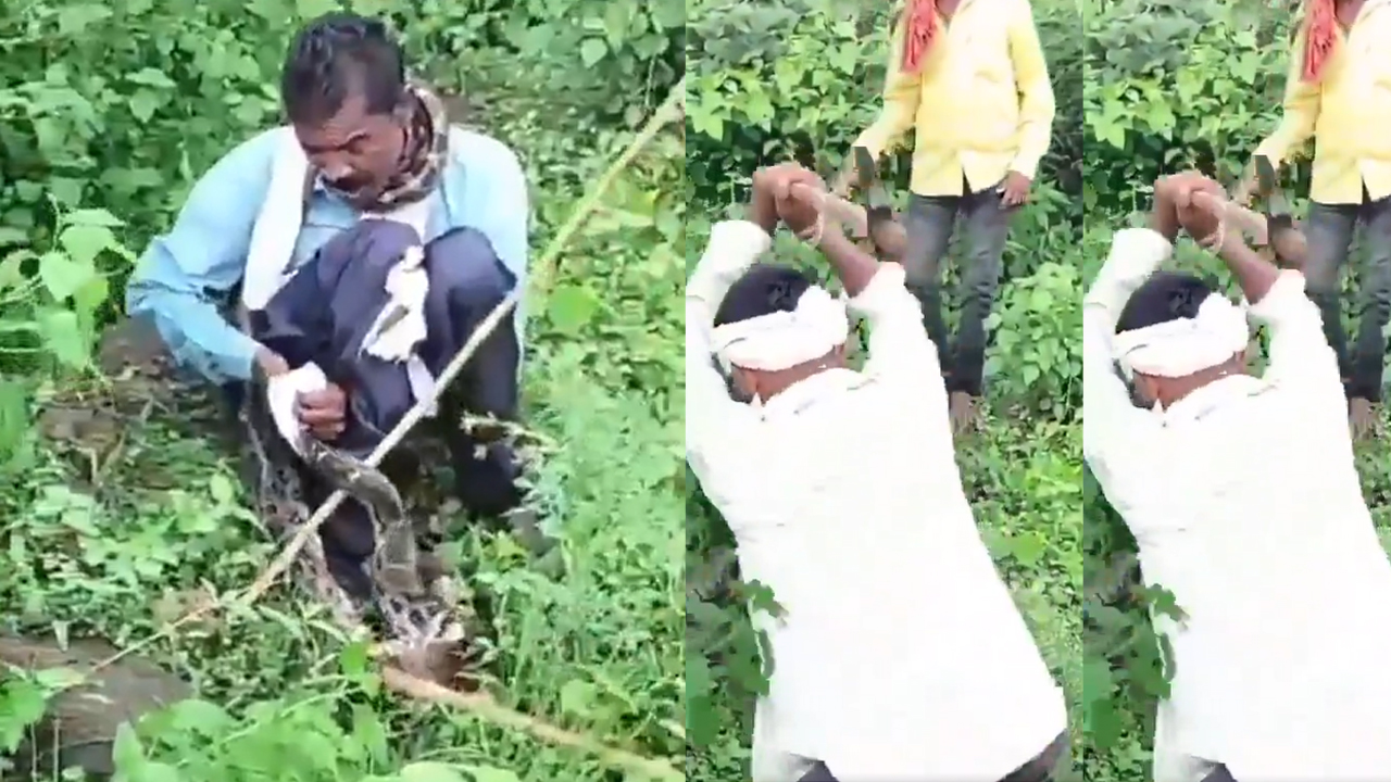 Viral video | బహిర్భూమికి వెళ్లిన వ్యక్తిని కదలకుండా చుట్టేసిన కొండ చిలువ.. మింగేందుకు ప్రయత్నిస్తుండగా..! Viral video | బహిర్భూమికి వెళ్లిన వ్యక్తిని కదలకుండా చుట్టేసిన కొండ చిలువ.. మింగేందుకు ప్రయత్నిస్తుండగా..!