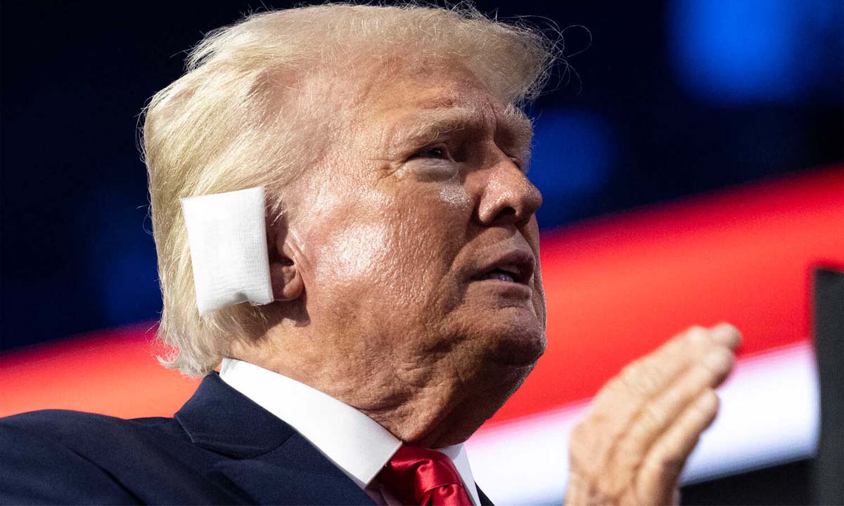Donald Trump | ఉక్రెయన్ యుద్ధంపై డొనాల్డ్ ట్రంప్ సంచలన వ్యాఖ్యలు.. మళ్లీ గెలిస్తే యుద్ధాన్ని ఆపిస్తానని వెల్లడి Donald Trump | ఉక్రెయన్ యుద్ధంపై డొనాల్డ్ ట్రంప్ సంచలన వ్యాఖ్యలు.. మళ్లీ గెలిస్తే యుద్ధాన్ని ఆపిస్తానని వెల్లడి