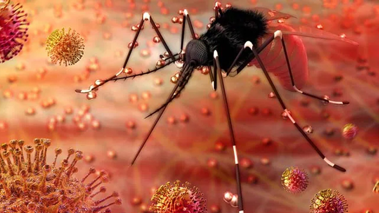 Zika virus | విస్తరిస్తున్న జికా వైరస్ కేసులు.. రాష్ట్రాలను అప్రమత్తం చేసిన కేంద్రం..! Zika virus | విస్తరిస్తున్న జికా వైరస్ కేసులు.. రాష్ట్రాలను అప్రమత్తం చేసిన కేంద్రం..!