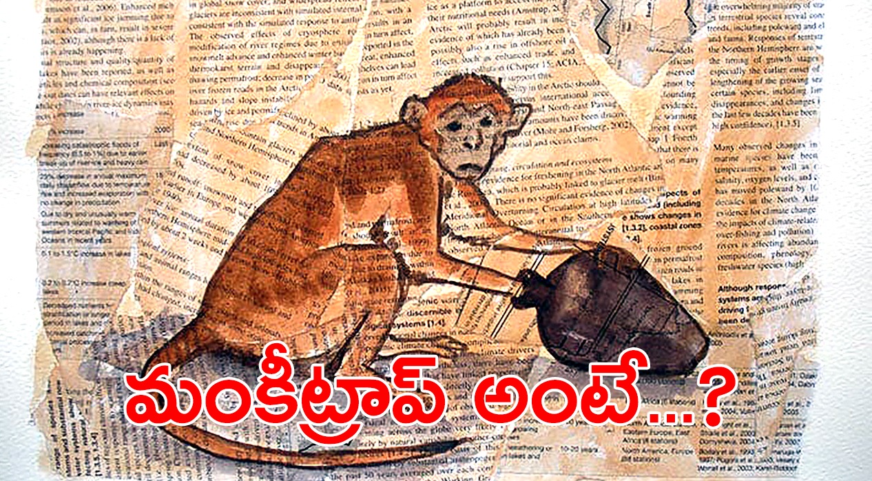 Monkey Trap | మంకీట్రాప్ అంటే తెలుసా..? అప్పుడే మనము ఈ ట్రాప్ నుంచి బయటపడగలం Monkey Trap | మంకీట్రాప్ అంటే తెలుసా..? అప్పుడే మనము ఈ ట్రాప్ నుంచి బయటపడగలం