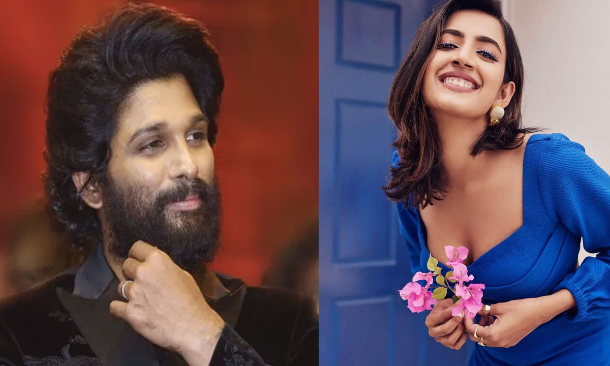 Niharika| అల్లు అర్జున్పై మెగా ఫ్యామిలీ అంత కోపంగా ఉందా.. నిహారిక ఏం చెప్పిందంటే..! Niharika| అల్లు అర్జున్పై మెగా ఫ్యామిలీ అంత కోపంగా ఉందా.. నిహారిక ఏం చెప్పిందంటే..!