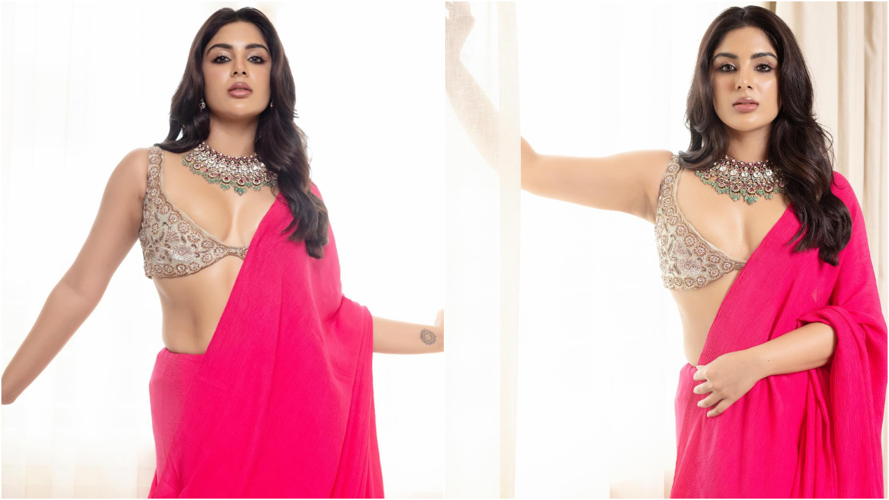 Samyuktha | పింక్ సారీ లో ఎద అందాలన్ని చూపిస్తున్న సంయుక్త