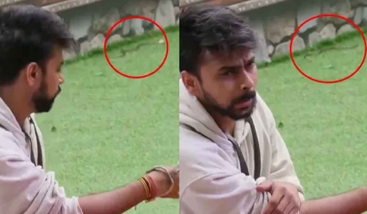 Bigg Boss| బిగ్ బాస్ హౌజ్లోకి దూరిన పాము.. అనుకోని అతిథి గుబులు రేపిందిగా..! Bigg Boss| బిగ్ బాస్ హౌజ్లోకి దూరిన పాము.. అనుకోని అతిథి గుబులు రేపిందిగా..!