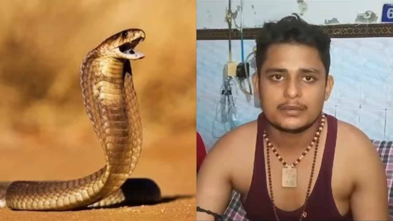 Snake Bite | ఇదో వింత కేసు.. నెల రోజుల వ్యవధిలో ఆరు సార్లు పాము కాటేసినా.. ప్రాణాలతో బతికాడు.. Snake Bite | ఇదో వింత కేసు.. నెల రోజుల వ్యవధిలో ఆరు సార్లు పాము కాటేసినా.. ప్రాణాలతో బతికాడు..