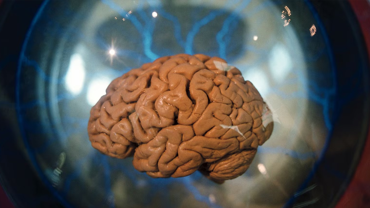 Brain Size | మనిషి మెదడు సైజు క్రమంగా తగ్గిపోతున్నదా.. పెరుగుతున్న భూతాపమే కారణమా..? Brain Size | మనిషి మెదడు సైజు క్రమంగా తగ్గిపోతున్నదా.. పెరుగుతున్న భూతాపమే కారణమా..?