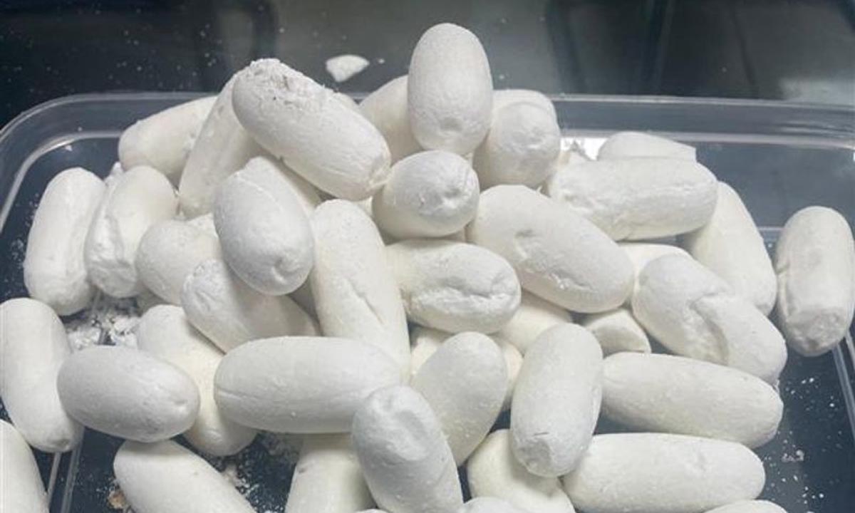 A lot of drugs were seized | ఢిల్లీ ఎయిర్పోర్టులో 15కోట్ల డ్రగ్స్ పట్టివేత A lot of drugs were seized | ఢిల్లీ ఎయిర్పోర్టులో 15కోట్ల డ్రగ్స్ పట్టివేత