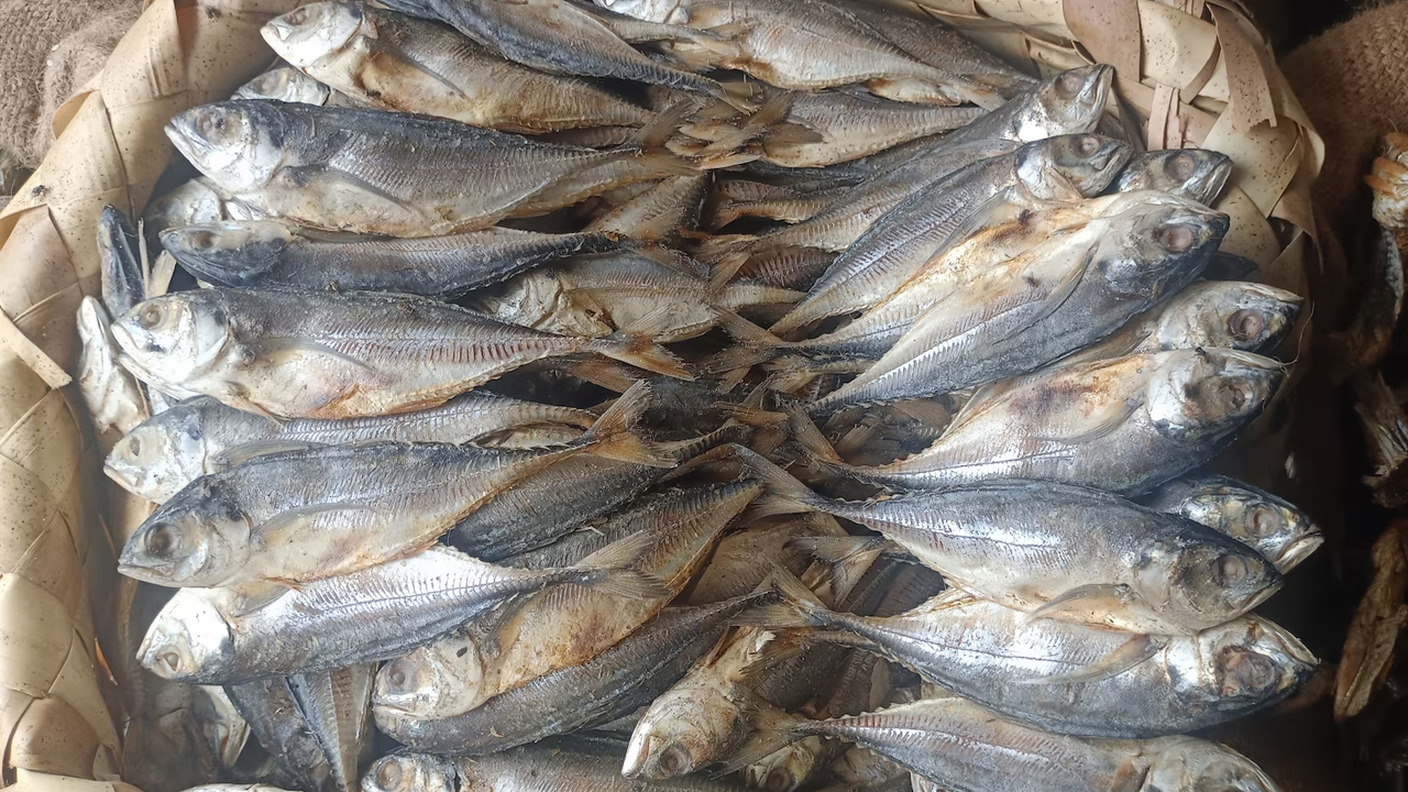 Dry fish | వాసనకు భయపడి వ్వాక్ ఎండు చేపలు అంటున్నారా.. అయితే ఇవి తప్పక తెలుసుకోవాల్సిందే..! Dry fish | వాసనకు భయపడి వ్వాక్ ఎండు చేపలు అంటున్నారా.. అయితే ఇవి తప్పక తెలుసుకోవాల్సిందే..!