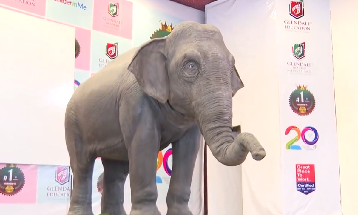 Elephant | నగరంలోకి మాట్లాడే ఏనుగు ఏలీ.. ఆసక్తి చూపుతున్న విద్యార్థులు Elephant | నగరంలోకి మాట్లాడే ఏనుగు ఏలీ.. ఆసక్తి చూపుతున్న విద్యార్థులు