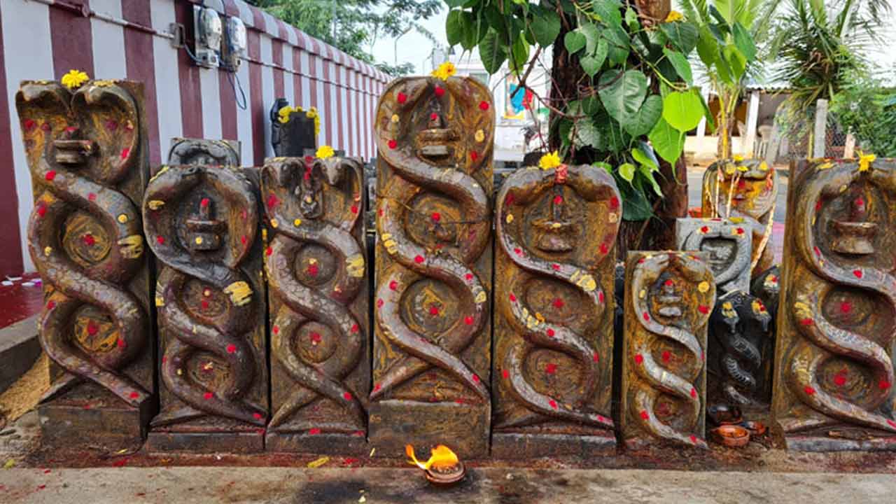 Nagula Chavithi | కాలసర్ప దోషం మిమ్మల్ని వెంటాడుతుందా..? ఎల్లుండి నాగులచవితి రోజున ఇలా చేయండి..! Nagula Chavithi | కాలసర్ప దోషం మిమ్మల్ని వెంటాడుతుందా..? ఎల్లుండి నాగులచవితి రోజున ఇలా చేయండి..!