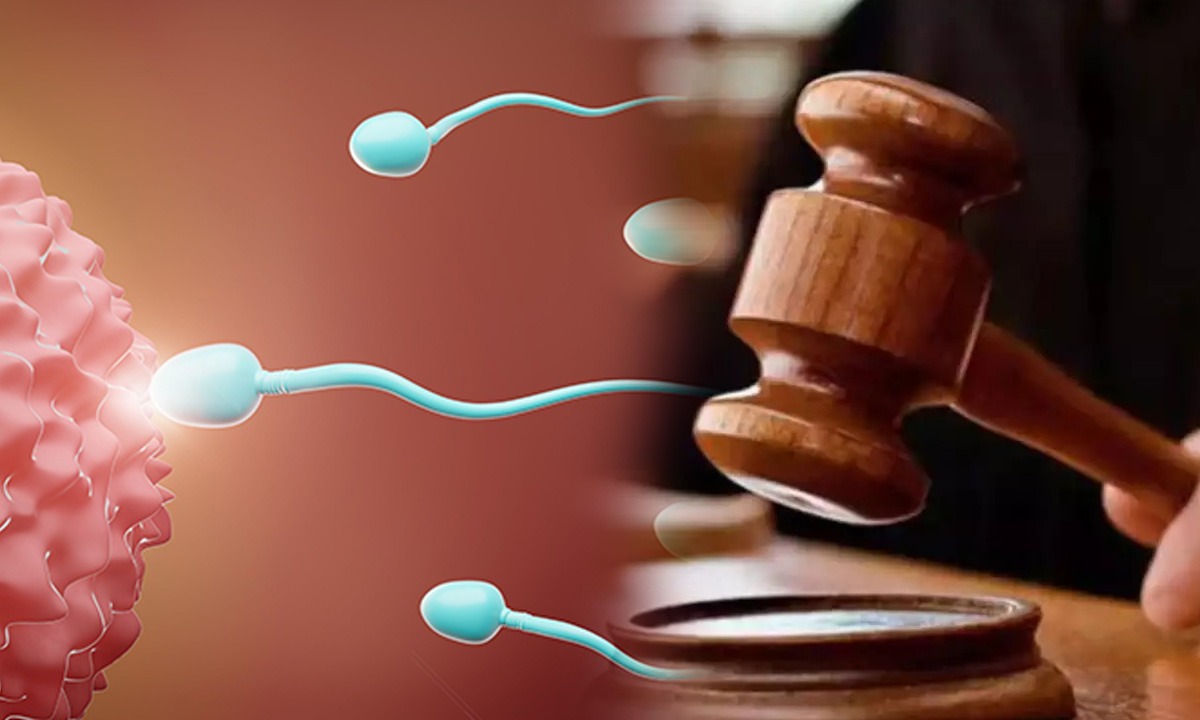 Sperm or egg donor । వీర్య/ అండ దాతల సంతానంపై బాంబే హైకోర్టు సంచలన తీర్పు Sperm or egg donor । వీర్య/ అండ దాతల సంతానంపై బాంబే హైకోర్టు సంచలన తీర్పు