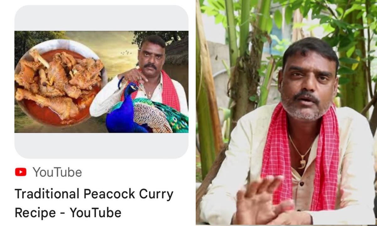 YouTuber | నెమలి కూర వండటంపై వీడియో.. యూ ట్యూబర్ అరెస్టు YouTuber | నెమలి కూర వండటంపై వీడియో.. యూ ట్యూబర్ అరెస్టు