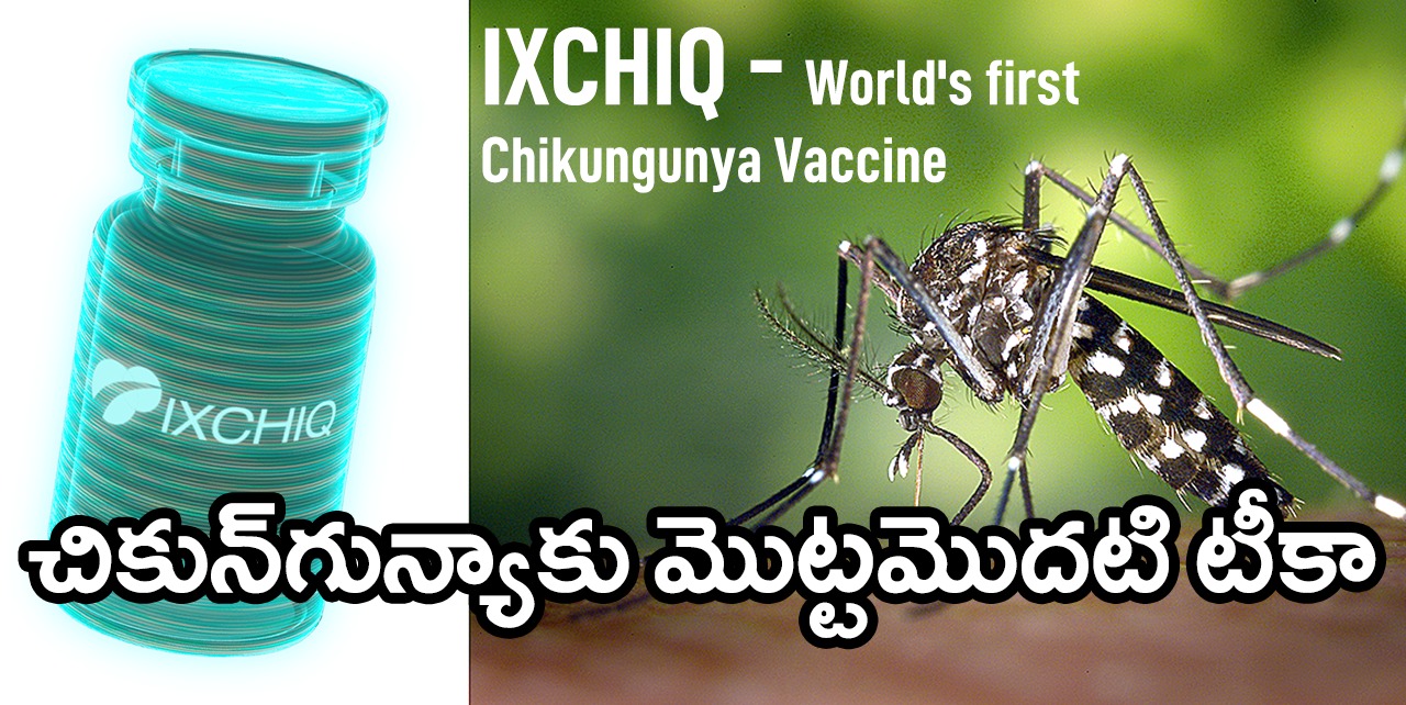Chikungunya Vaccine | నొప్పులతో నరకాన్ని చూపించే చికున్ గున్యాకు తొలి వ్యాక్సిన్ Chikungunya Vaccine | నొప్పులతో నరకాన్ని చూపించే చికున్ గున్యాకు తొలి వ్యాక్సిన్