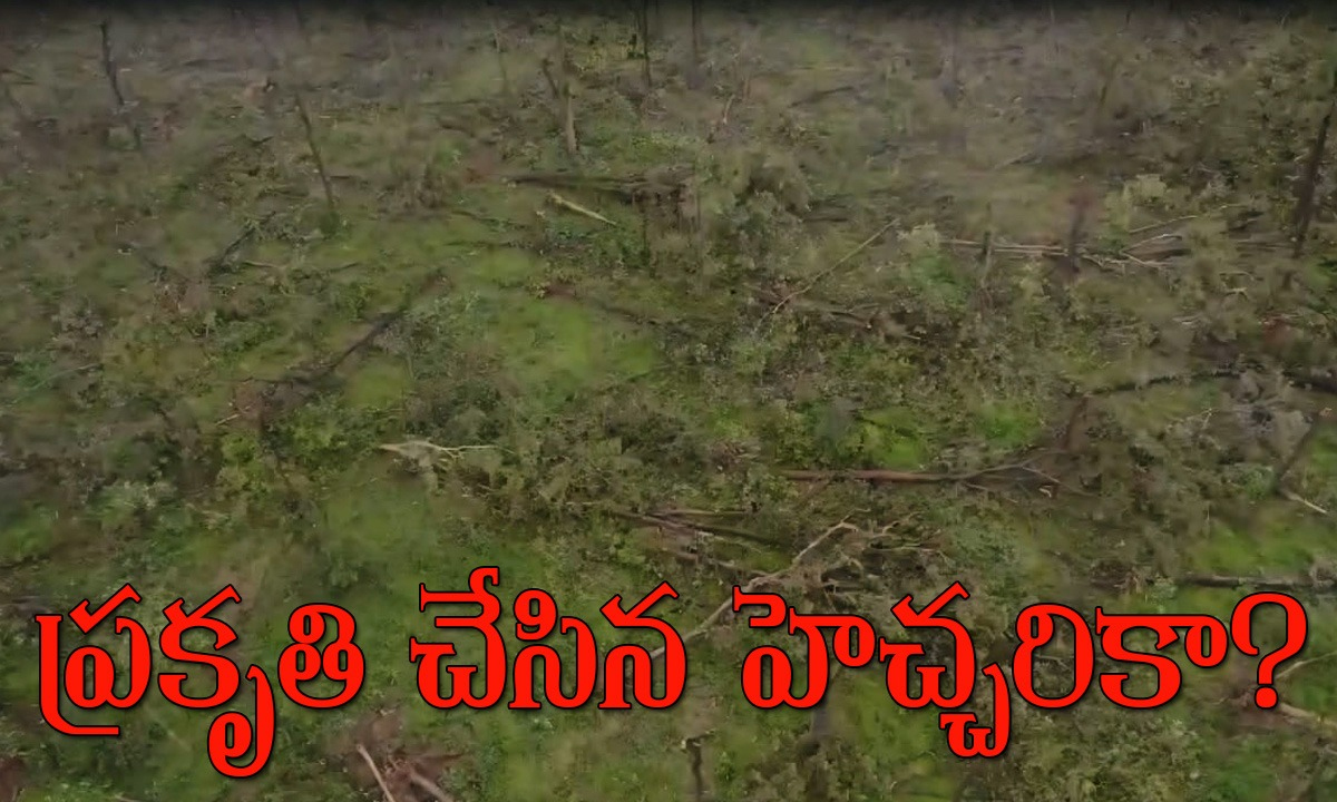 Medaram a warning । మేడారం అడవిలో లక్షలకొద్దీ కూలిన వృక్షాలు చేస్తున్న హెచ్చరికలేంటి? Medaram a warning । మేడారం అడవిలో లక్షలకొద్దీ కూలిన వృక్షాలు చేస్తున్న హెచ్చరికలేంటి?