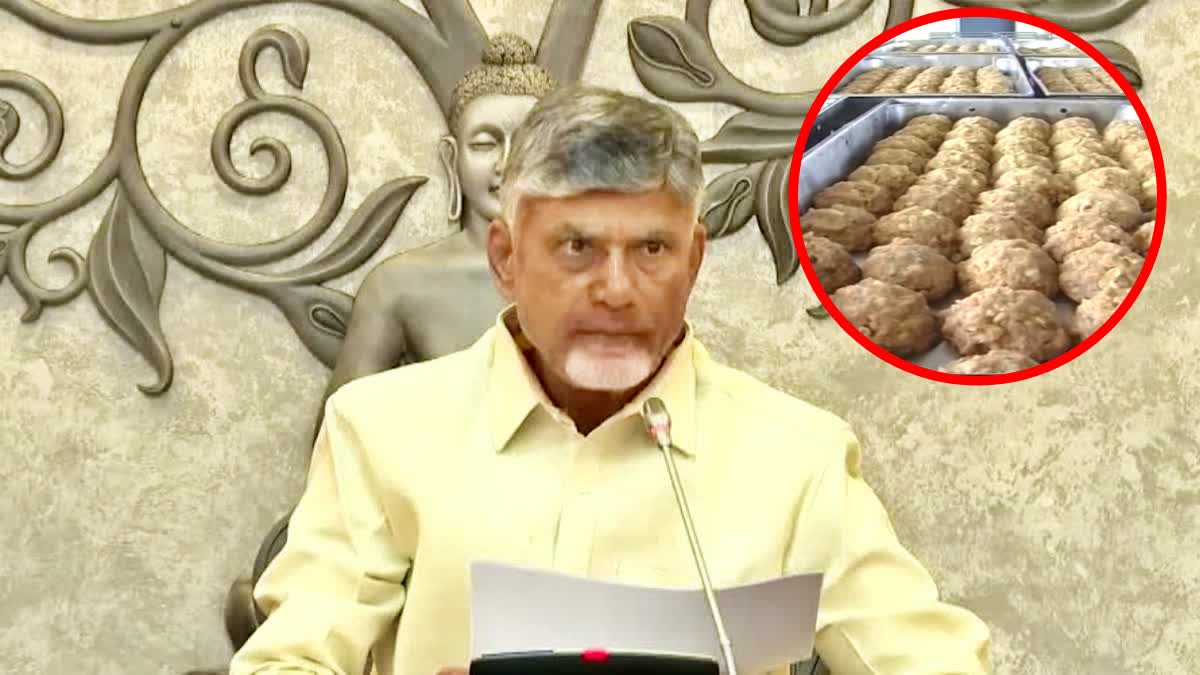 Tirupati Laddu | తిరుపతి లడ్డూ నాణ్యత పెంచాం : ఏపీ ముఖ్యమంత్రి చంద్రబాబు Tirupati Laddu | తిరుపతి లడ్డూ నాణ్యత పెంచాం : ఏపీ ముఖ్యమంత్రి చంద్రబాబు