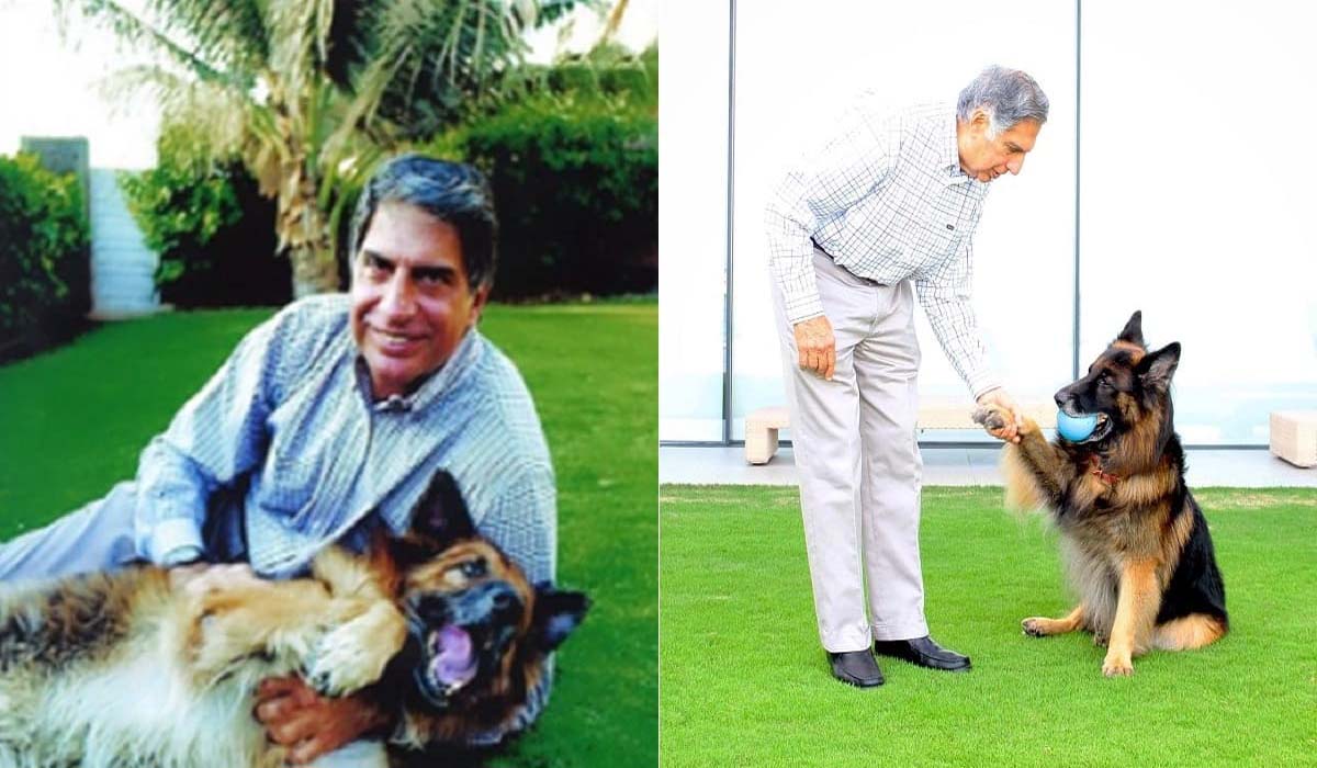 Ratan Tata | బ్రిటన్ ప్రిన్స్ నుంచి అవార్డును అందుకోలేకపోయిన రతన్ టాటా..! పెంపుడు శునకాలు అనారోగ్యంతో ఉన్నాయని..! Ratan Tata | బ్రిటన్ ప్రిన్స్ నుంచి అవార్డును అందుకోలేకపోయిన రతన్ టాటా..! పెంపుడు శునకాలు అనారోగ్యంతో ఉన్నాయని..!