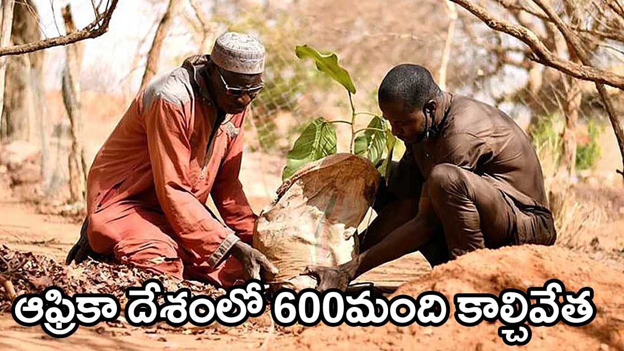 ఆఫ్రికా దేశంలో అల్ఖైదా నరమేధం – కొన్ని గంటల్లోనే 600 మంది ఊచకోత ఆఫ్రికా దేశంలో అల్ఖైదా నరమేధం – కొన్ని గంటల్లోనే 600 మంది ఊచకోత
