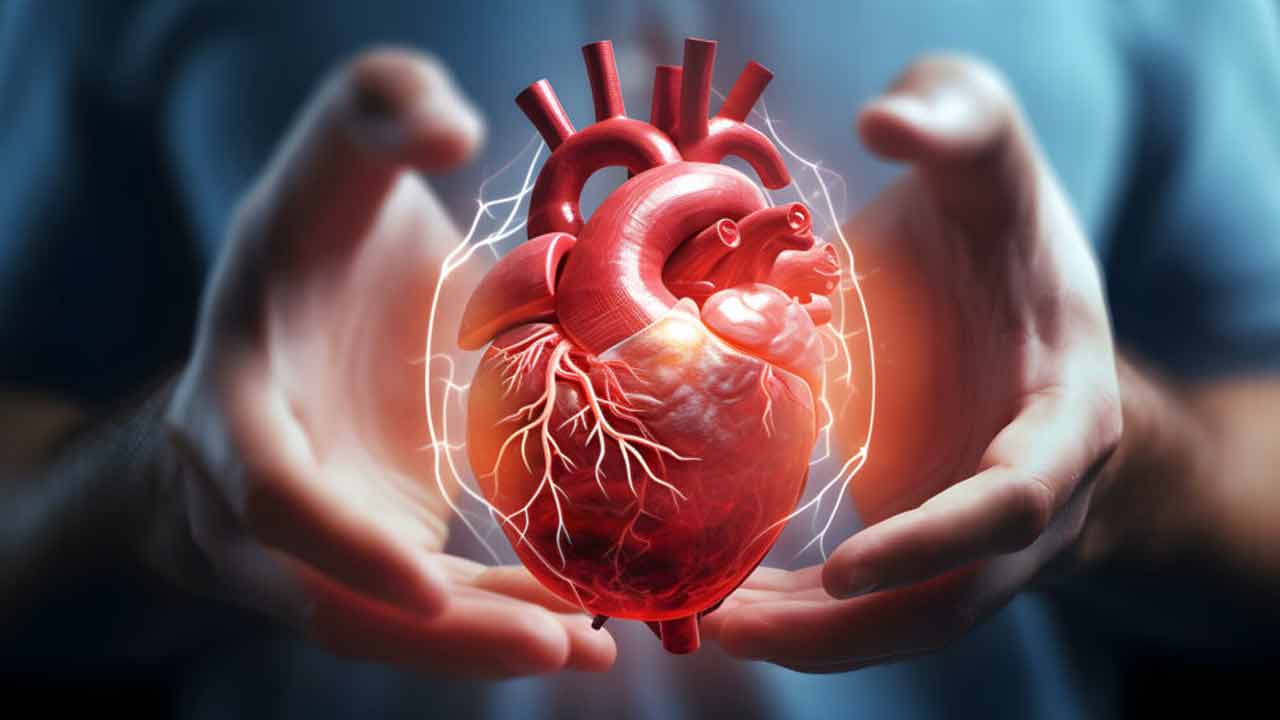 Heart Stroke | ఈ చిన్న చిట్కాలు పాటిస్తే.. గుండెపోటుకు దూరంగా ఉన్నట్టే..! Heart Stroke | ఈ చిన్న చిట్కాలు పాటిస్తే.. గుండెపోటుకు దూరంగా ఉన్నట్టే..!