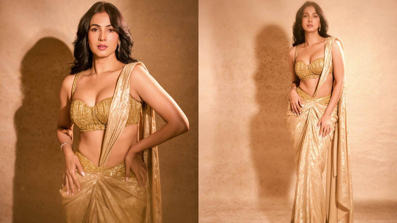 Sonal Chauhan | అదరహో అనేలా సోనాల్ అందాలు.. అందాలతో మతి పోగొడుతున్న సోనాల్ చౌహాన్