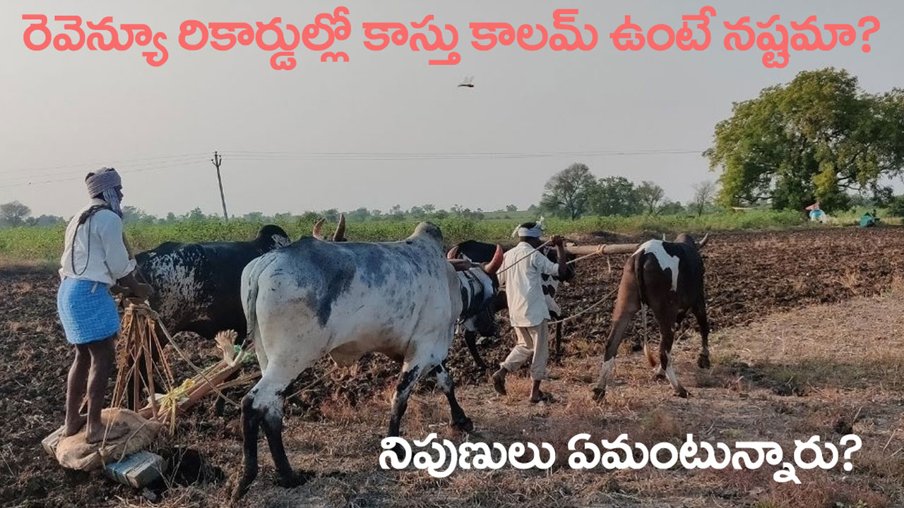 Bhu Bharathi: రెవెన్యూ రికార్డులో అనుభవదారు కాలమ్తో రైతులకు నష్టం వచ్చేనా? Bhu Bharathi: రెవెన్యూ రికార్డులో అనుభవదారు కాలమ్తో రైతులకు నష్టం వచ్చేనా?
