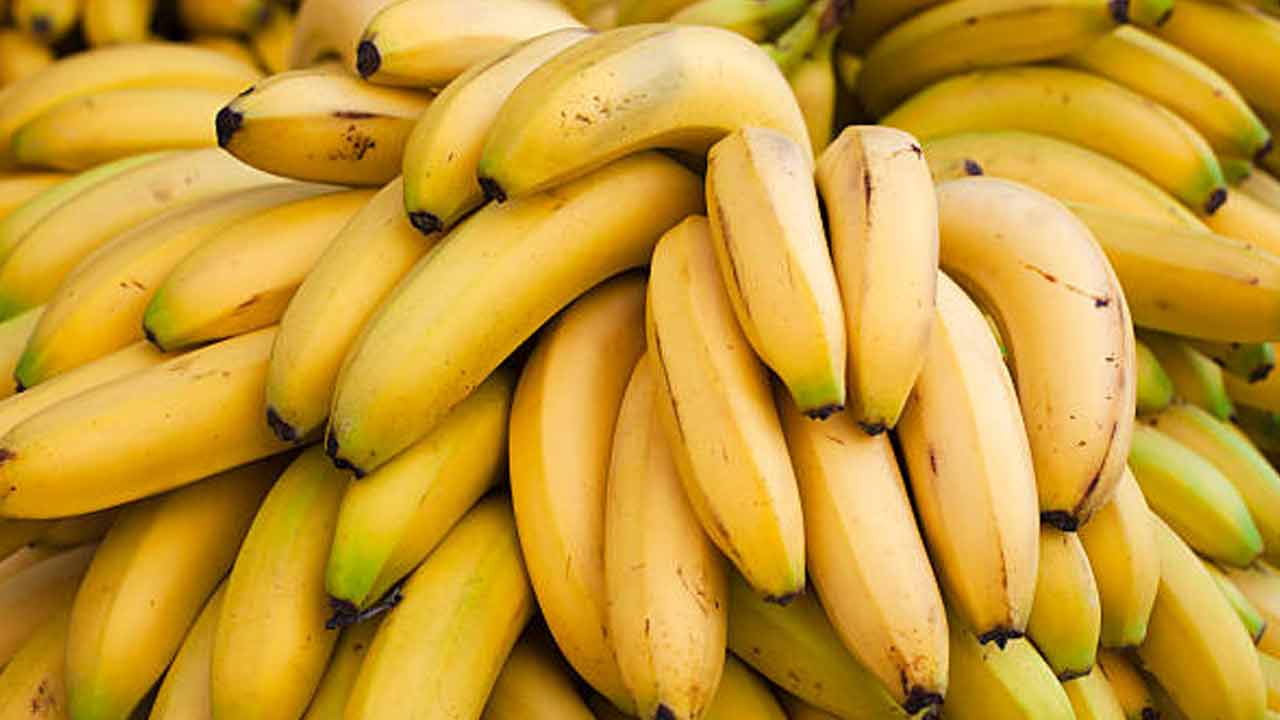 Banana | పరిగడుపున.. అరటి పండు తింటే ప్రమాదమా? Banana | పరిగడుపున.. అరటి పండు తింటే ప్రమాదమా?