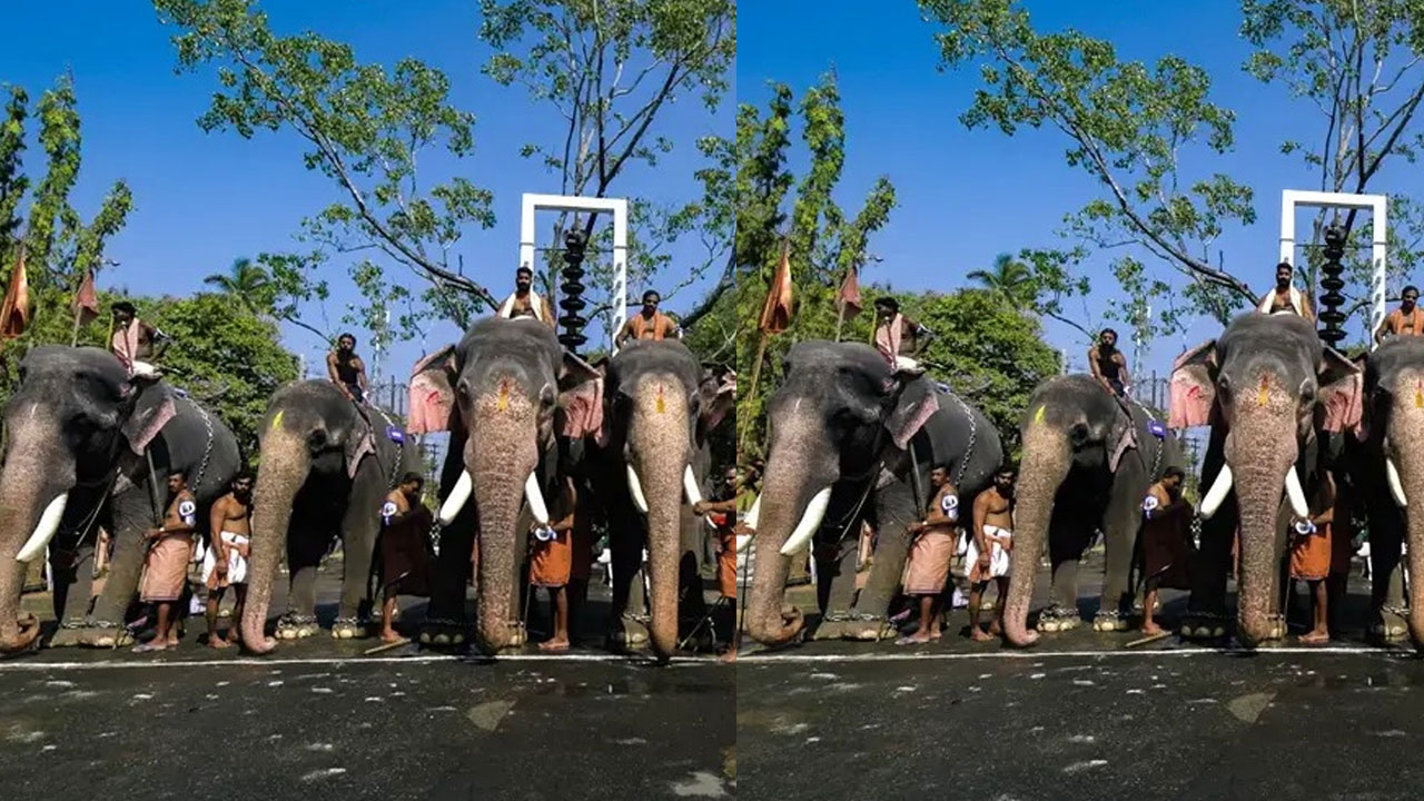 Kerala: స్వామి సేవ కోసం.. ఏనుగుల పరుగు పందెం! గురువాయూర్లో వింత Kerala: స్వామి సేవ కోసం.. ఏనుగుల పరుగు పందెం! గురువాయూర్లో వింత