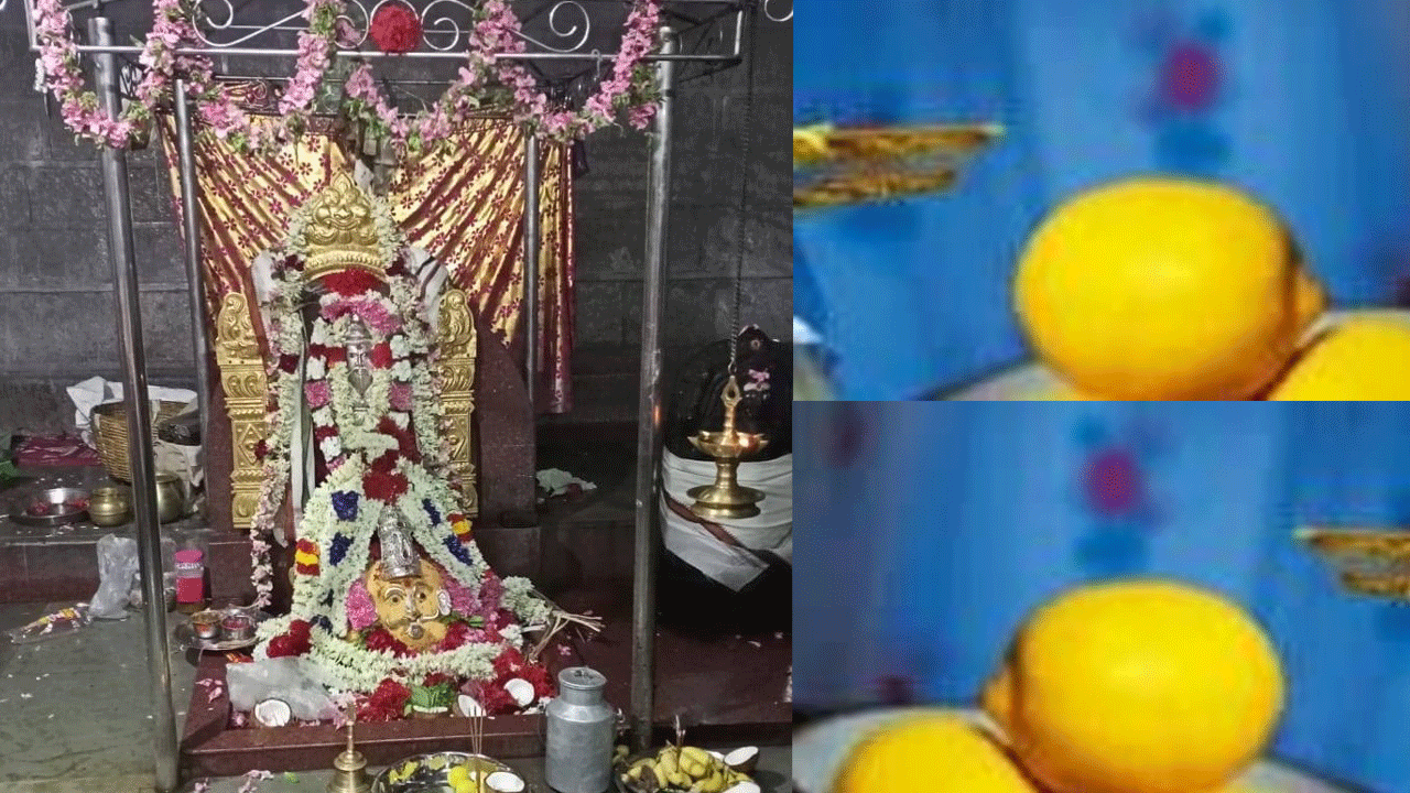 Viral: ఈ నిమ్మకాయ ధర.. అక్షరాల రూ.25వేలు! Viral: ఈ నిమ్మకాయ ధర.. అక్షరాల రూ.25వేలు!