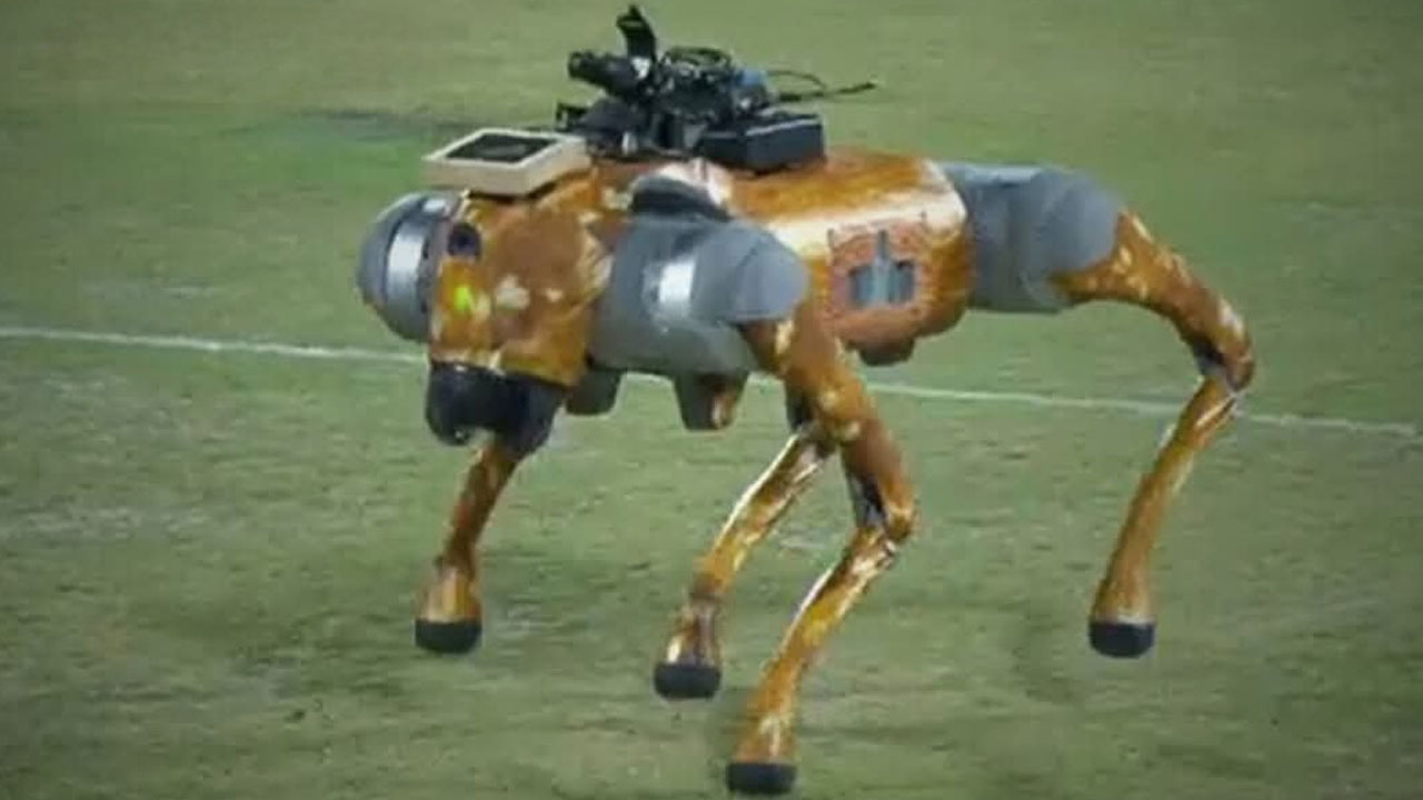 Robo Dog: IPLలో.. రోబో డాగ్ సందడి..! Robo Dog: IPLలో.. రోబో డాగ్ సందడి..!